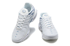 Nike Air Max Plus DZ3671-104 (Copy)