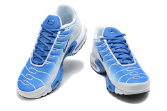 The Nike Air Max Plus 852630-413