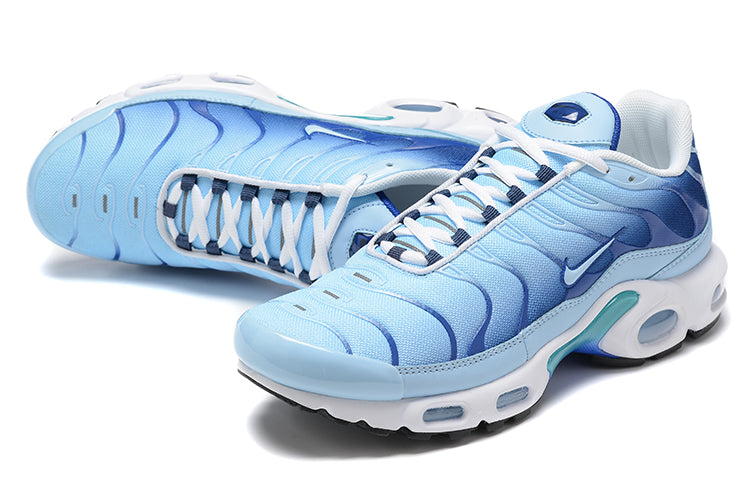 Nike Air Max Plus DQ3983-600