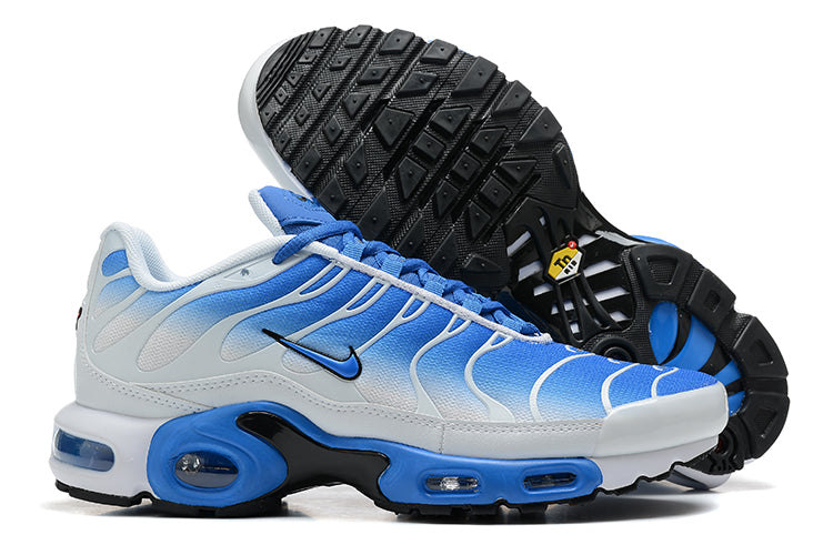 The Nike Air Max Plus 852630-413